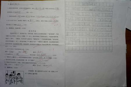 初中语文期中质量分析 初中语文期中考试质量分析