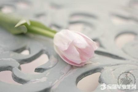 早上好语录带图片 早上好语录