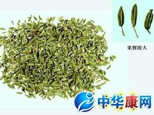 小茴香籽的功效与作用 小茴香的功效与作用及食用方法