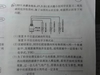 初三下册化学二氧化碳性质练习试题