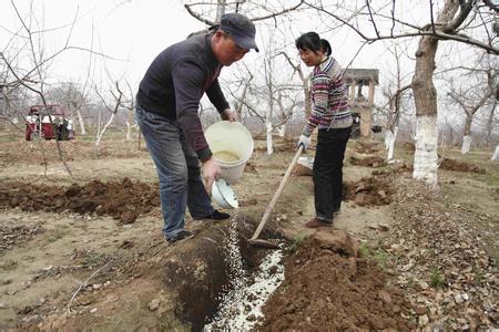 果树施肥器 谈果树营养和施肥科技论文