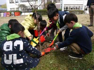 社区植树节活动主题 社区植树节主题活动通讯稿