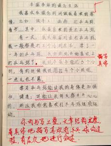 三年级英语小短文30字 三年级英语作文