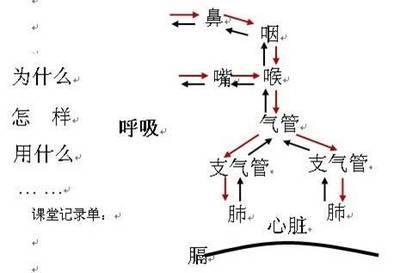 歌唱的力量 萨顶顶 咽部力量在歌唱中的作用