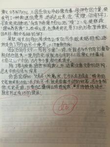 成功的一次实验作文 成功的实验作文