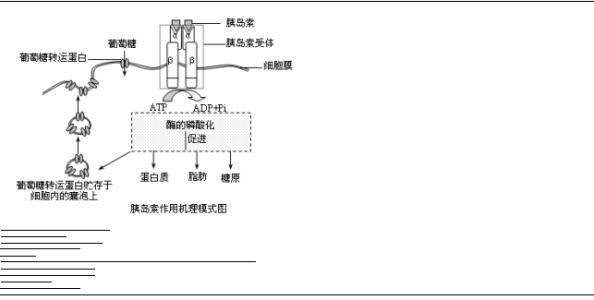 初二生物知识点：人体的神经调节