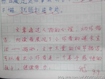 教师对小学生写字评语 教师如何给学生写评语