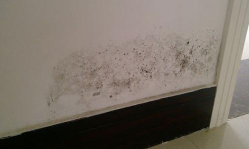 墙面潮湿怎么处理 墙面潮湿的原因有哪些？墙面潮湿怎么处理？