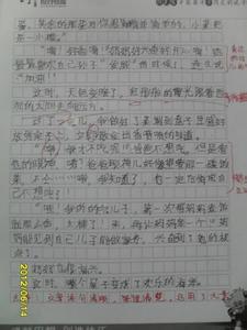 我学会了炒菜350字左右 我学会了炒菜的作文300字