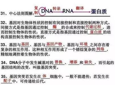 2017初级会计重点归纳 2017年高考生物重难点总结归纳