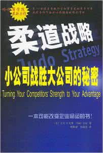 企业战略秉承什么原则 企业柔道战略有哪些原则