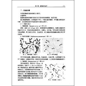 护理学毕业生自我鉴定 护理学自我鉴定