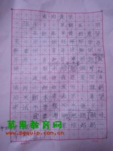 我的新年愿望作文600字 我的新年愿望作文