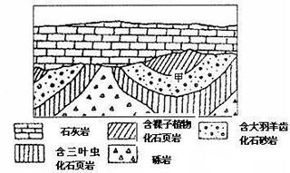 高一英语试题及答案 人教版高一地理物质运动与能量交换测试试题及答案