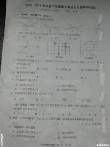 七年级下学期期中试卷 七年级下学期政治期中考试题