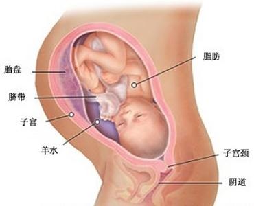 孕34周孕妇的症状 34周孕妇腹部疼怎么回事