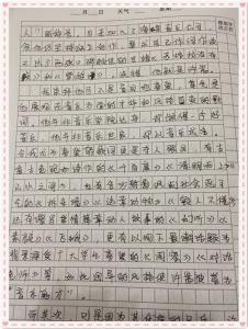 我的偶像作文600字 描写我的偶像作文_写人作文