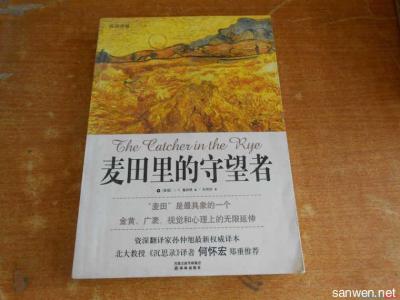 麦田的守望者读书笔记 《麦田里的守望者》读书笔记范文