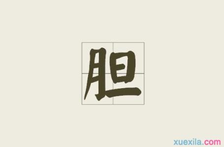 胆开头的成语接龙 胆字开头的成语接龙大全