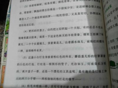 优美散文摘抄 有关优美的散文摘抄800字