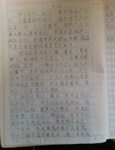 秋天景色的作文800字 高中作文秋天的景色800字4篇