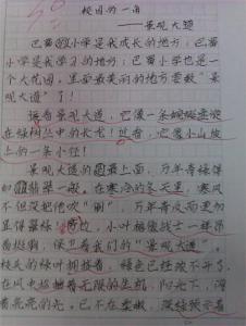 描写雪花的作文800字 描写雪花的作文300字