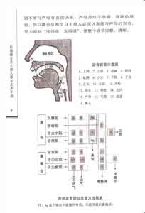 播音腔怎么练 播音员发声技巧