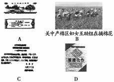 建设特色社会主义文化 《建设中国特色社会主义文化》试题及答案