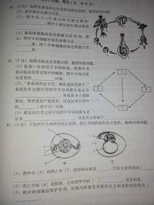 有关数学的脑筋急转弯 和生物有关的脑筋急转弯