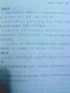 我想当老师作文800字 我想当老师作文800字精选3篇