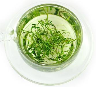 茵陈的功效与作用吃法 茵陈泡水的功效与作用