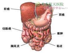 肠蠕动过快是什么原因 肠蠕动慢有什么原因造成