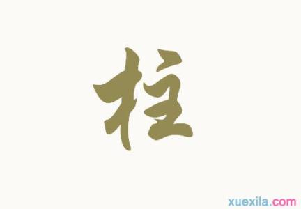 柱字开头的成语 有关柱字开头的四字成语