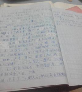 乡村生活作文400字 乡村生活的作文精选