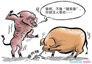 瘦肉精用英语怎么说 ＂瘦肉精＂英语怎么说