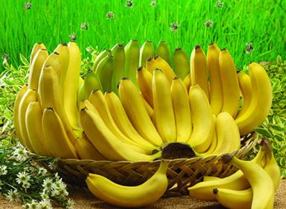 香蕉的功效与作用 香蕉的功效与防病作用
