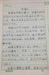 小桔灯读后感100字 小桔灯读后感