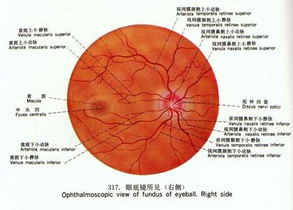 沙眼如何治疗 沙眼怎么形成的 沙眼如何治疗