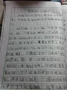 初一作文大全400字 初一作文自我介绍400字3篇