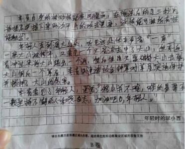 小学生作文评语集锦 小学作文教师评语集锦