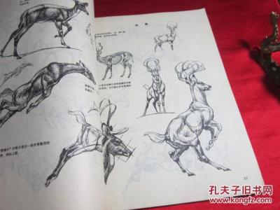 纹绣眉毛的画法和技巧 动物的画法技巧