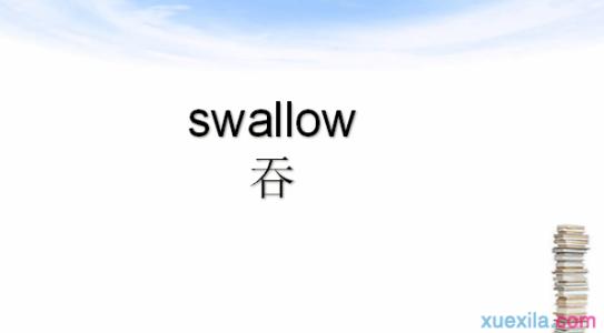 swallow是什么意思 swallow是什么意思 swallow的英文意思