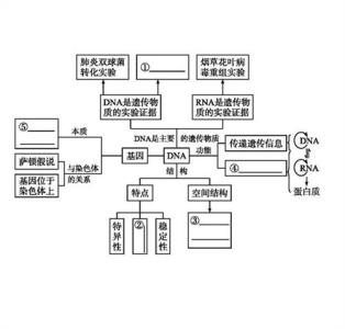 生物必修二伴性遗传 生物必修二伴性遗传知识点梳理