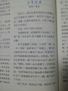 我学会了滑冰300字 我学会了滑冰300字作文4篇