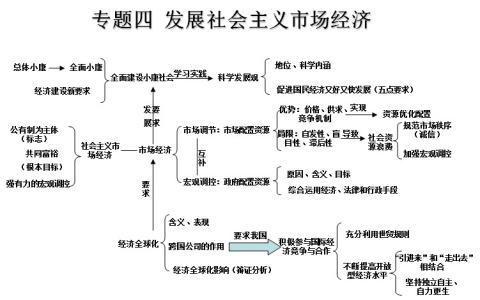 高一政治复习重点知识