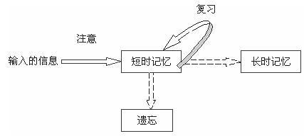 短时记忆遗忘 短时记忆遗忘该咋办