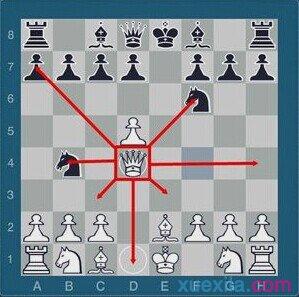 国际象棋王的走法 国际象棋后的走法