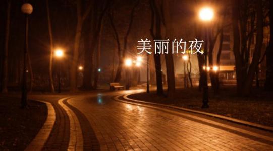 静谧的夜晚散文 高中散文 夜晚