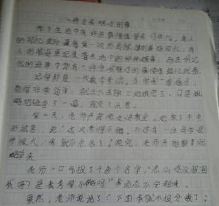 随笔作文300字 随笔写事作文300字5篇