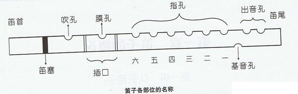 笛子发声原理 笛子的发声原理是什么